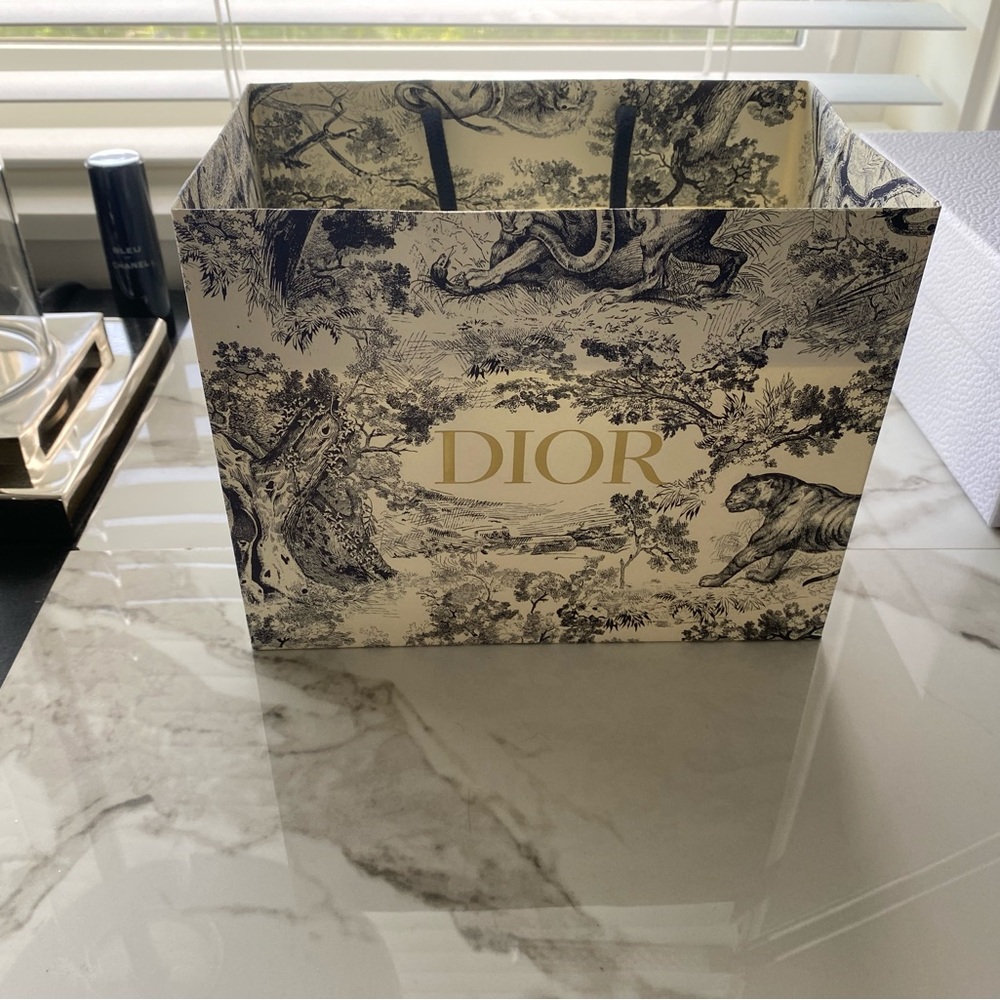 DIOR Toile de Jouy Gift Bag